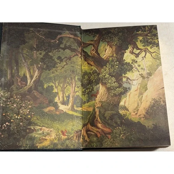 Grimms Complete Fairy Tales Barnes & Noble Leatherbound ArthurRackham 1435114890 - Picture 4 of 6